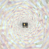 Whorl No. 2